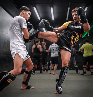 Gear - Radar Gear – Premium sportkleding & accessoires voor topprestaties