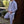 Radar Parachute Tracksuit Pants - Radar Gear – Premium sportkleding & accessoires voor topprestaties